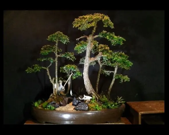 Trabajo de Higurashi Jardinería Creativa